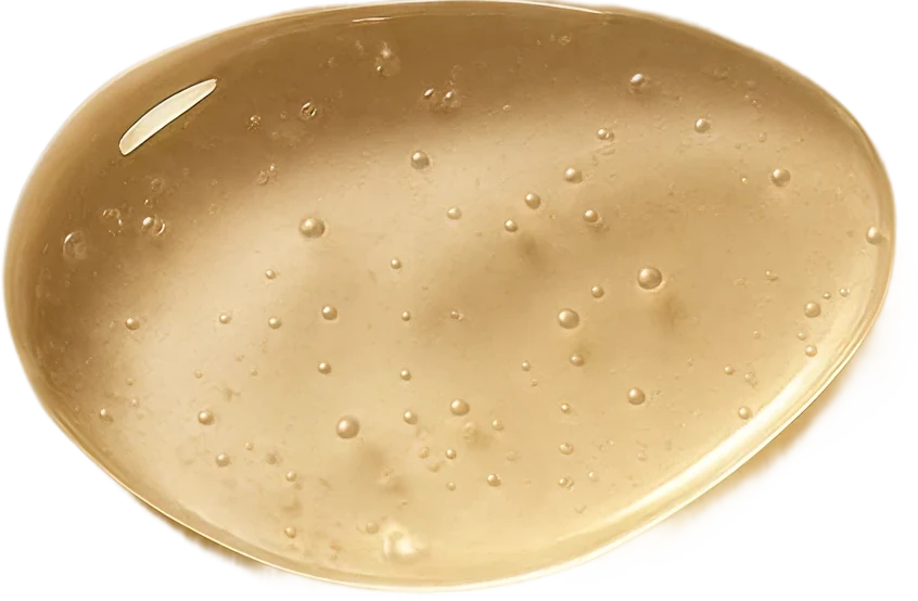 Pore Refining Complex